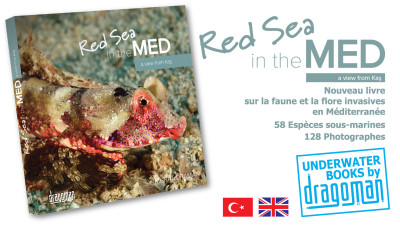 red-sea-in-the-med-kitap