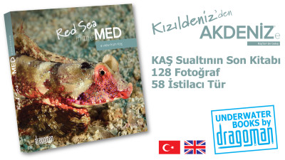 red-sea-in-the-med-kitap