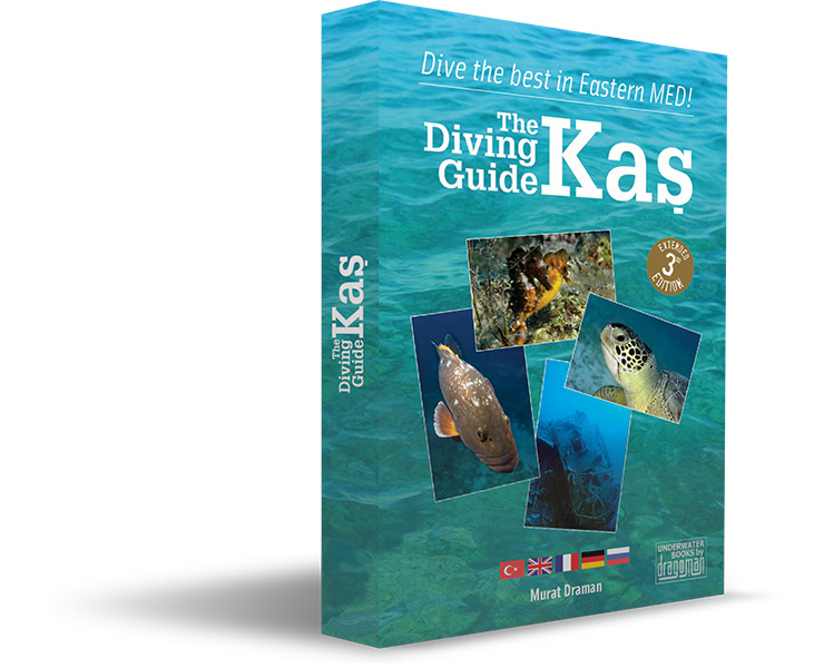 The Diving Guide Kaş