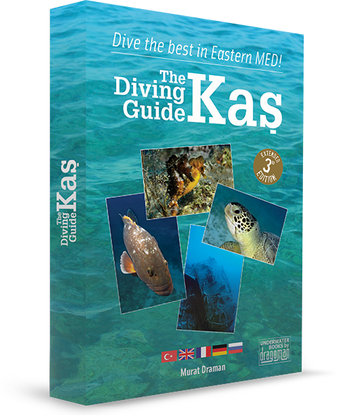 https://www.dragoman-turkey.com/wp-content/uploads/2019/02/the-diving-guide-kas-kitap-3baski.jpg