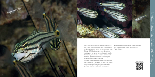 Tropical Mediterrenian - Image 5