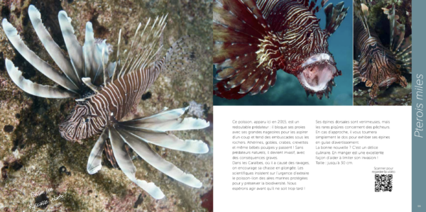 Tropical Mediterrenian - Image 6
