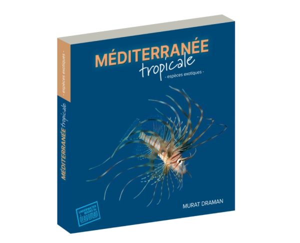 Tropical Mediterrenian - Image 4