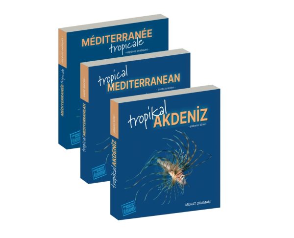 Tropical Mediterranean