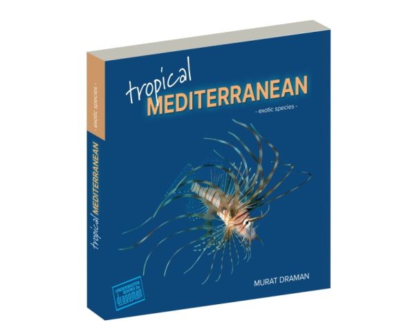 Tropical Mediterrenian - Image 2